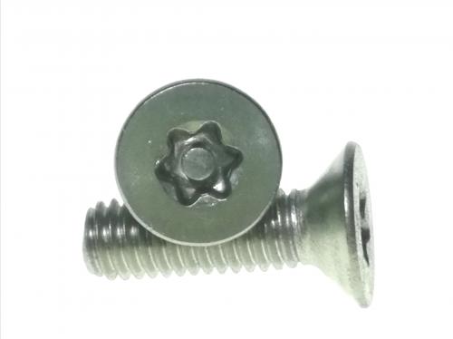 stainless-csk-torx-security-screw